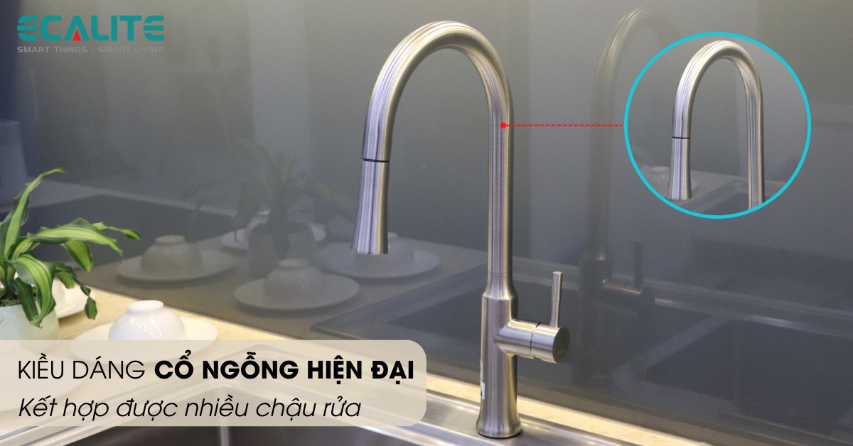 Kiểu dáng cổ ngỗng hiện đại