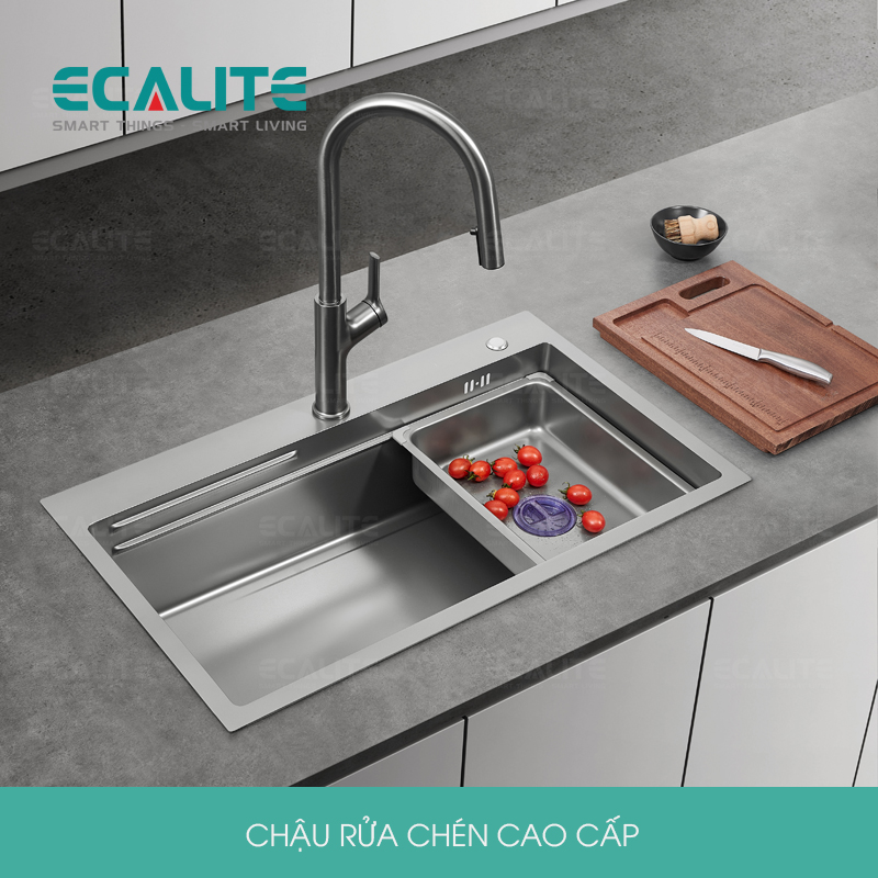 Chậu rửa chén Bertha Munual Sink Ecalite ES-N17845HS